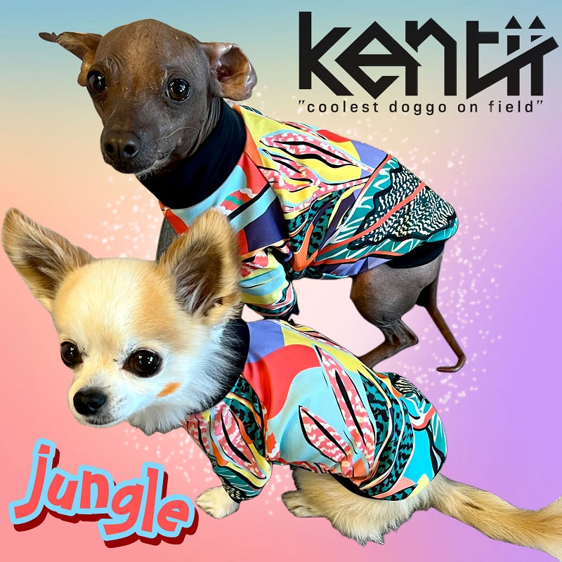 Jungle / ジャングル