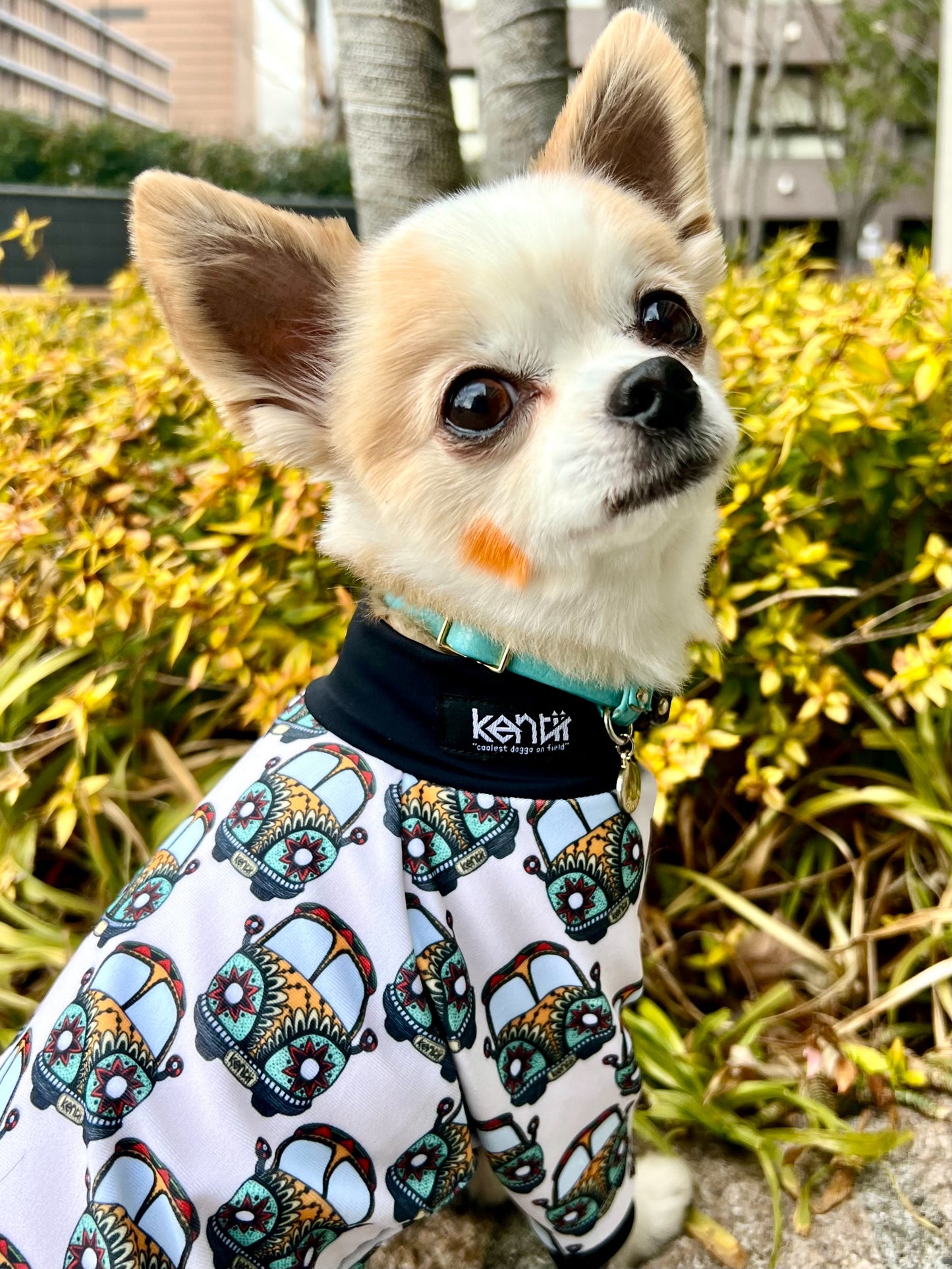 Journey / ジャーニー