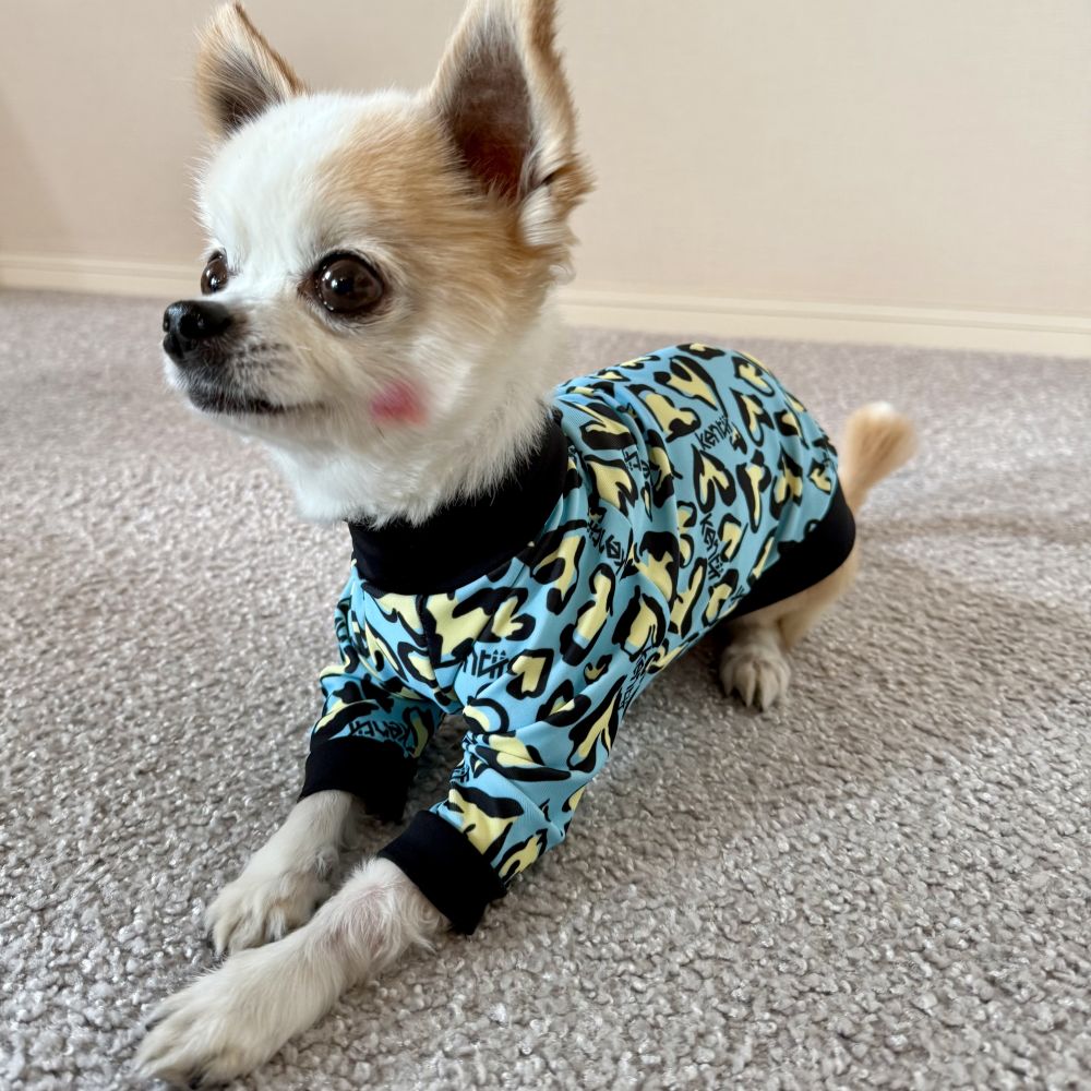 Vivid Animal (Emerald Blue) / ビビッドアニマル・エメラルドブルー