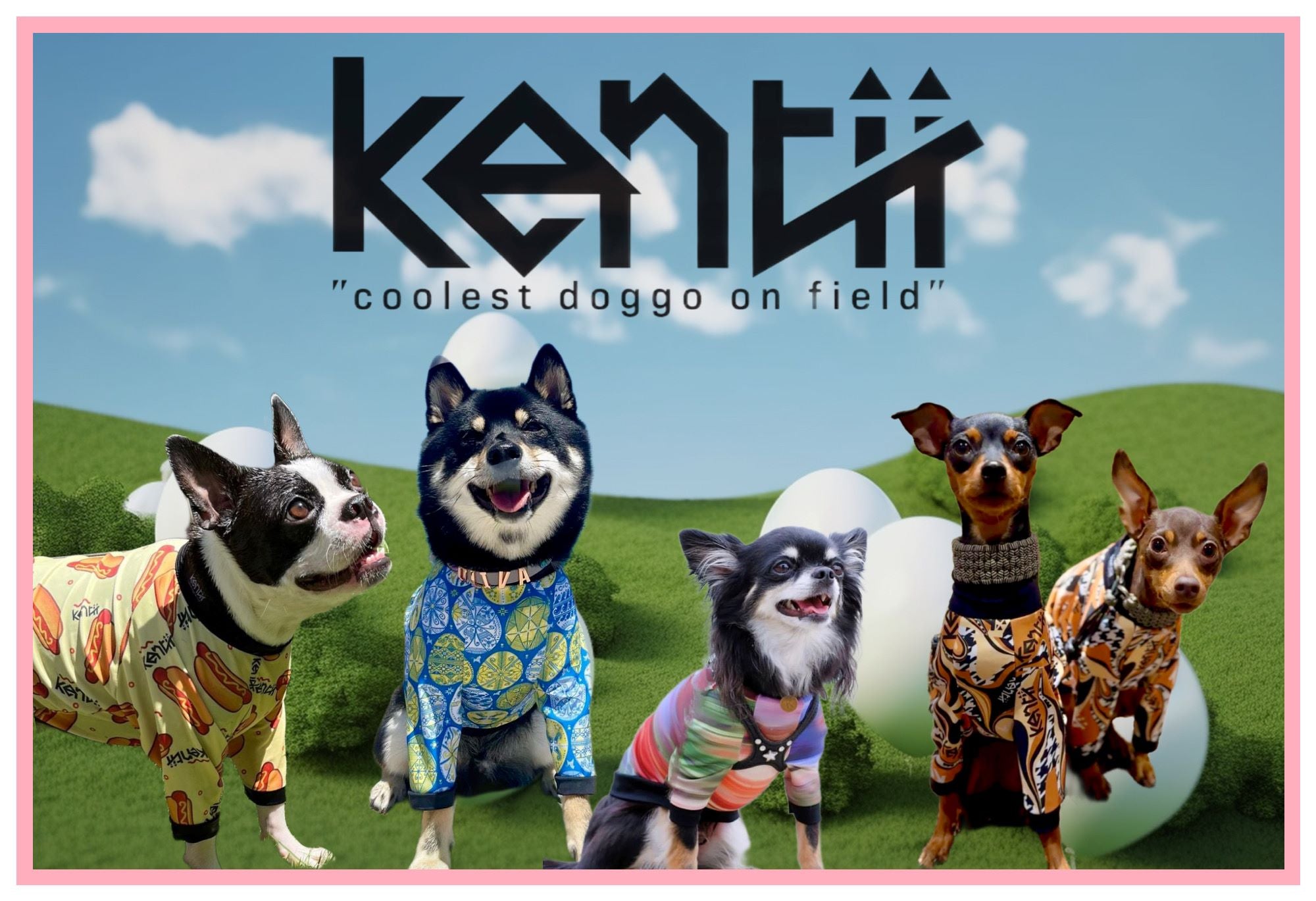 ドッグウェア ブランド kentii（ケンティー） おしゃれで高機能な犬服 