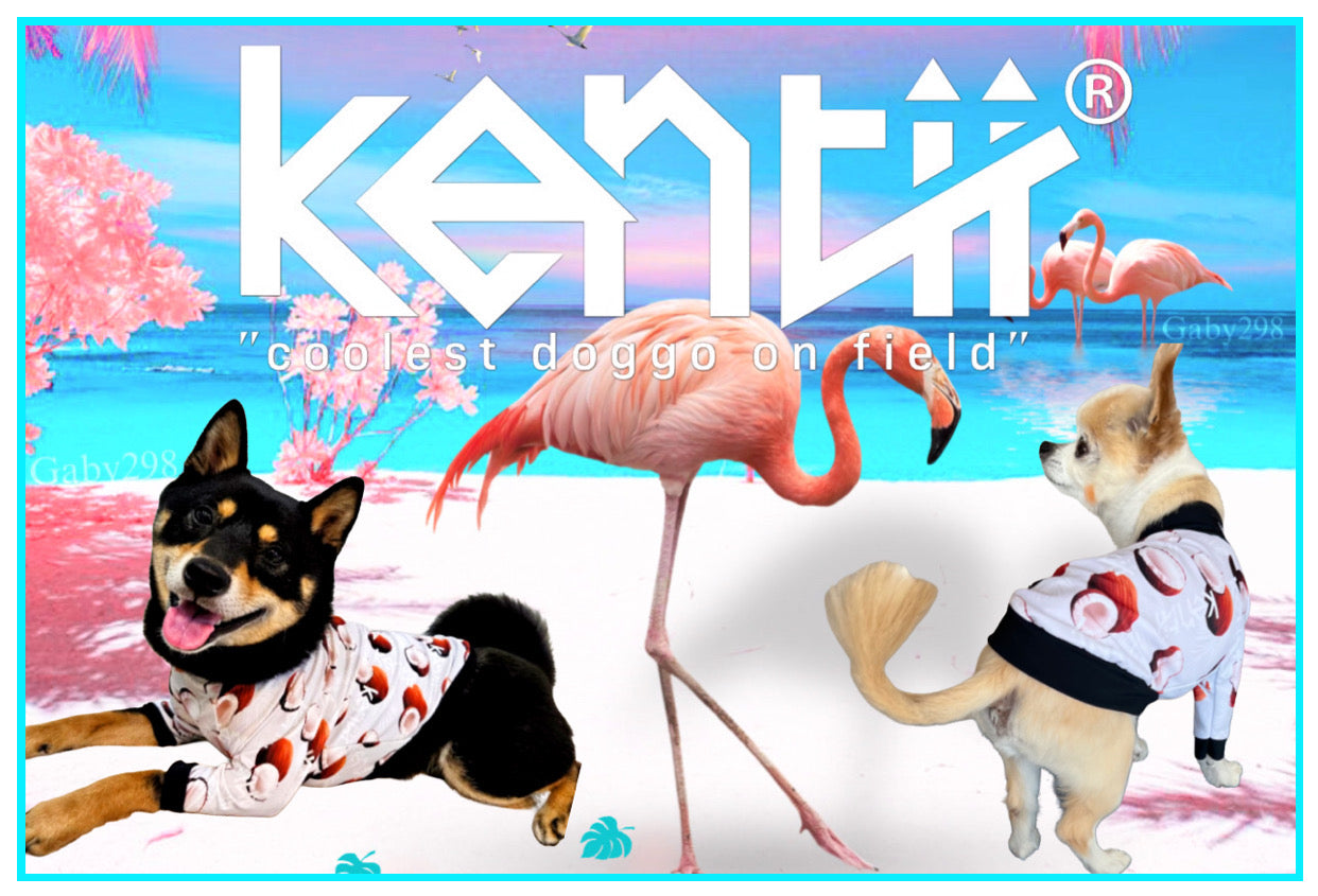 ドッグウェア ブランド kentii（ケンティー） おしゃれで高機能