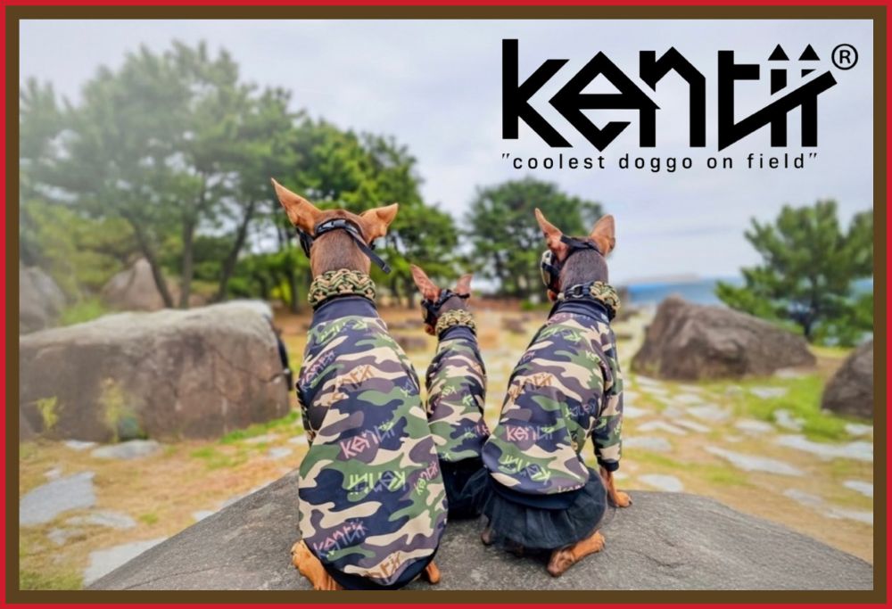 Kentii カラフル柄 犬服 4枚セット Lサイズ Kentii カラフル柄 犬服 4枚セット Lサイズ - メルカリ