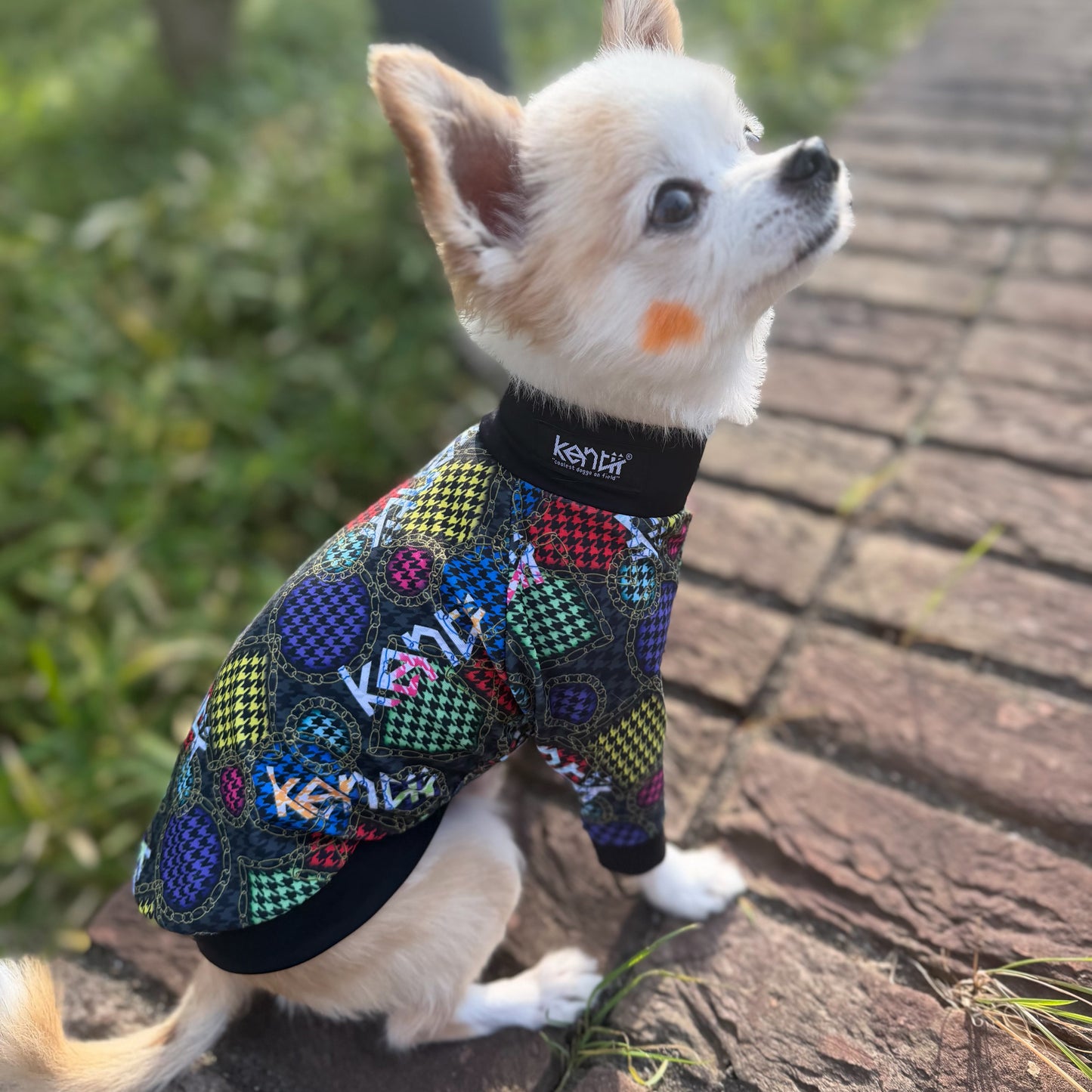 Mix Hound's Tooth / ミックスハウンドトゥース