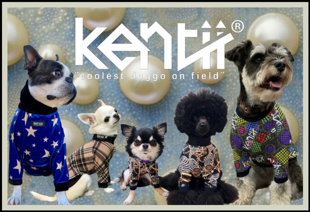 ドッグウェア ブランド kentii（ケンティー） おしゃれで高機能な犬服