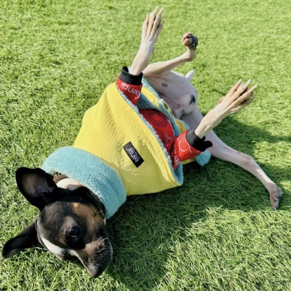 Light Warm Poncho / ライトウォームポンチョ