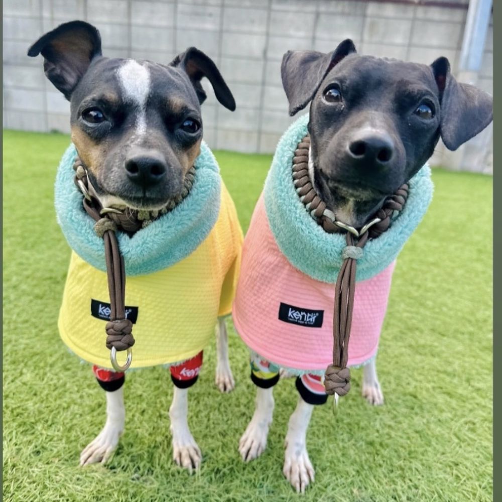 Light Warm Poncho / ライトウォームポンチョ