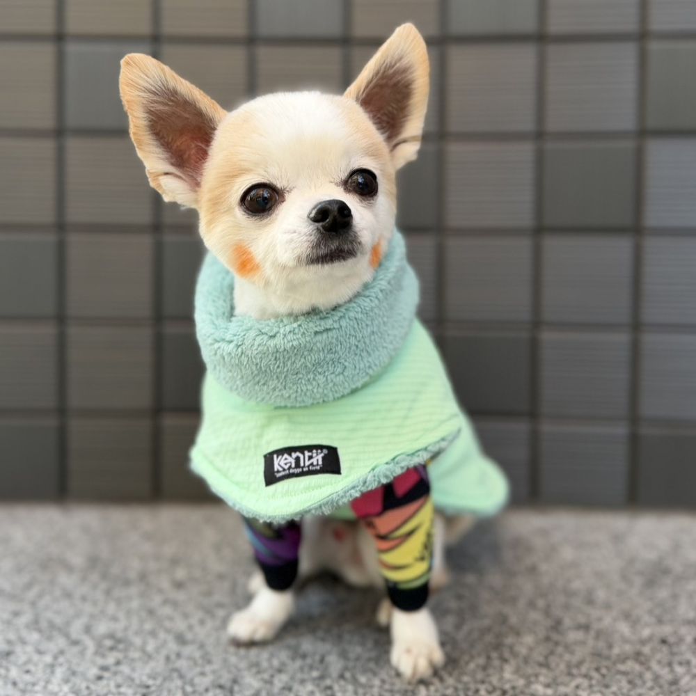 Light Warm Poncho / ライトウォームポンチョ