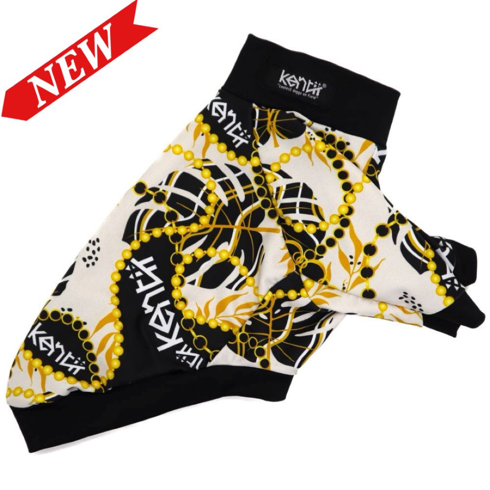 Monstera Pearl / モンステラパール