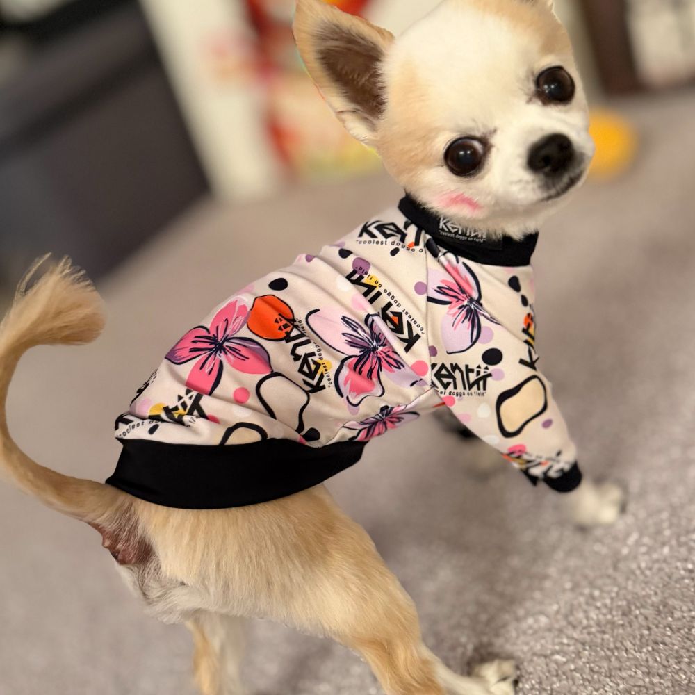 Bloom Baby / ブルームベビー