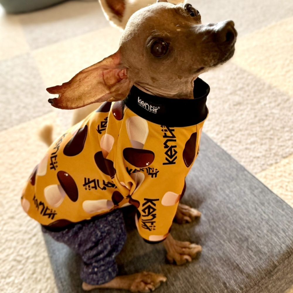 KINOKO / キノコ – kentii［ケンティー］公式通販サイト