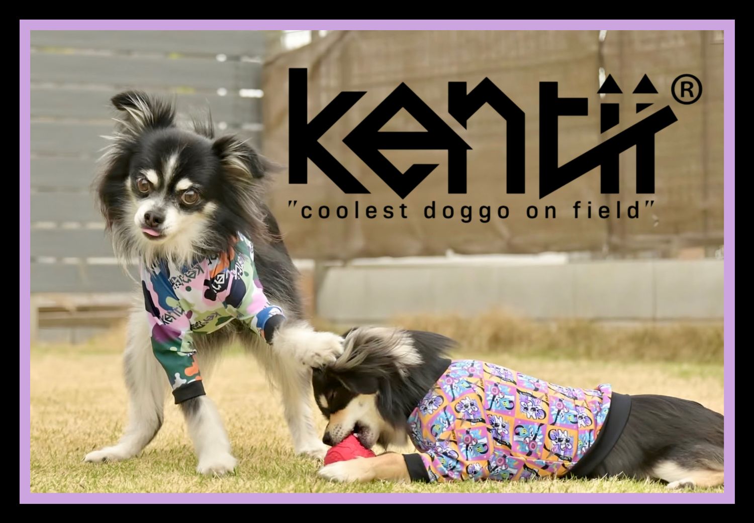 ドッグウェア ブランド kentii（ケンティー） おしゃれで高機能な犬服