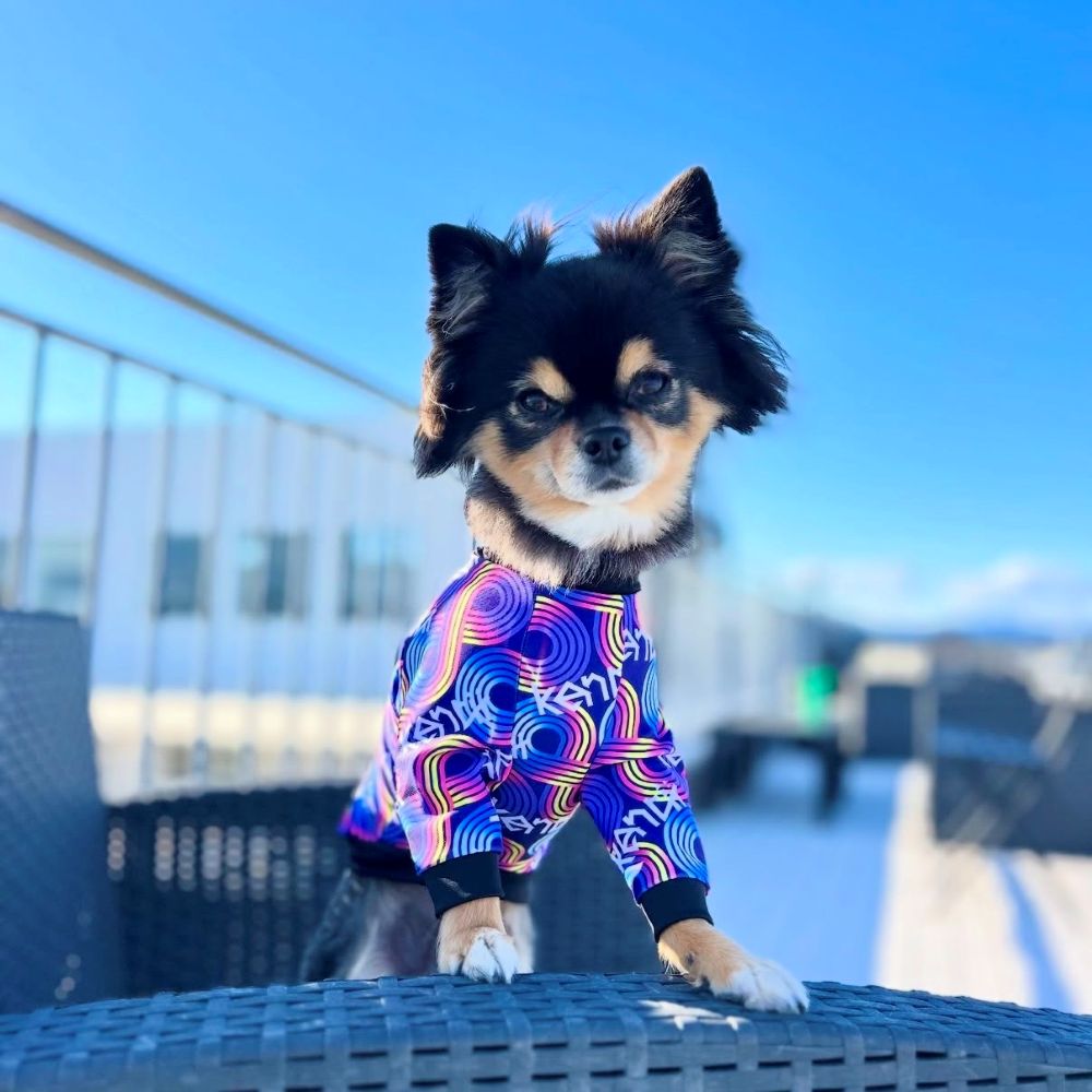 Infinity / インフィニティ