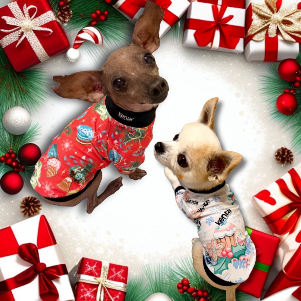 Scarlet Charm / スカーレットチャーム