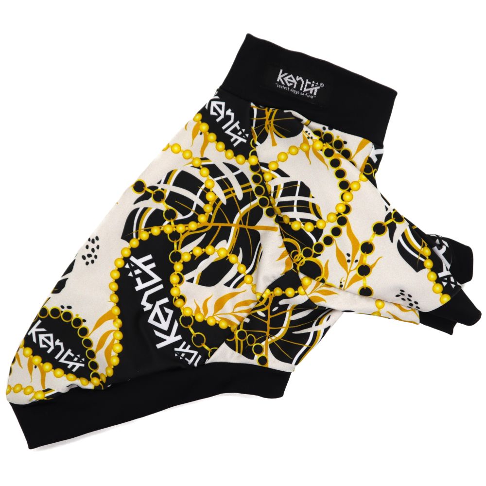 Monstera Pearl / モンステラパール