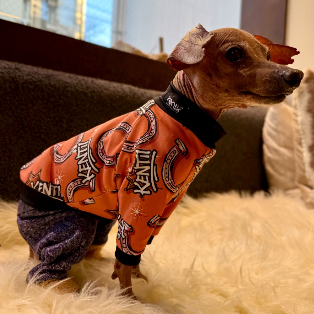 Gallop Rush / ギャロップラッシュ