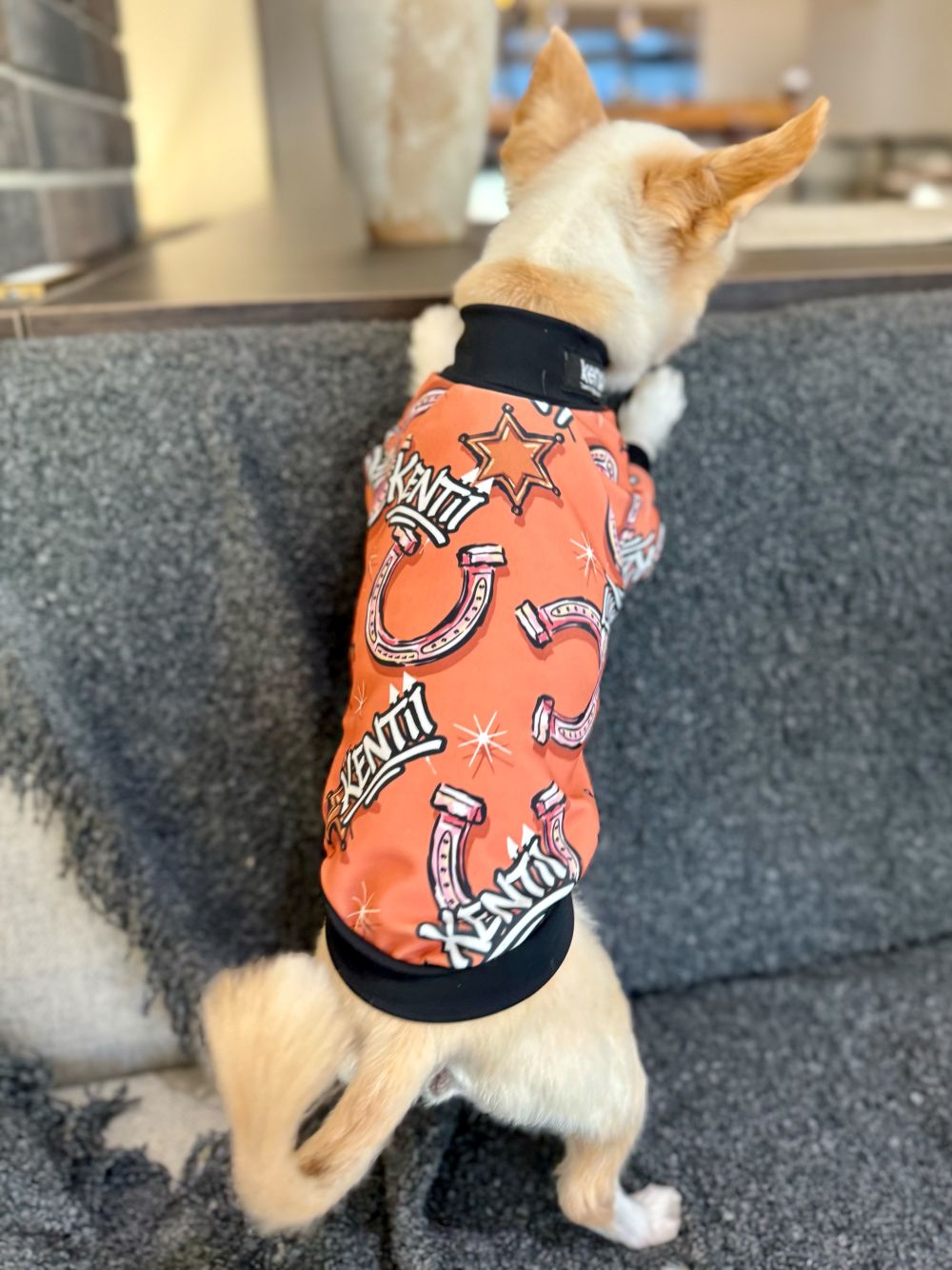 Gallop Rush / ギャロップラッシュ