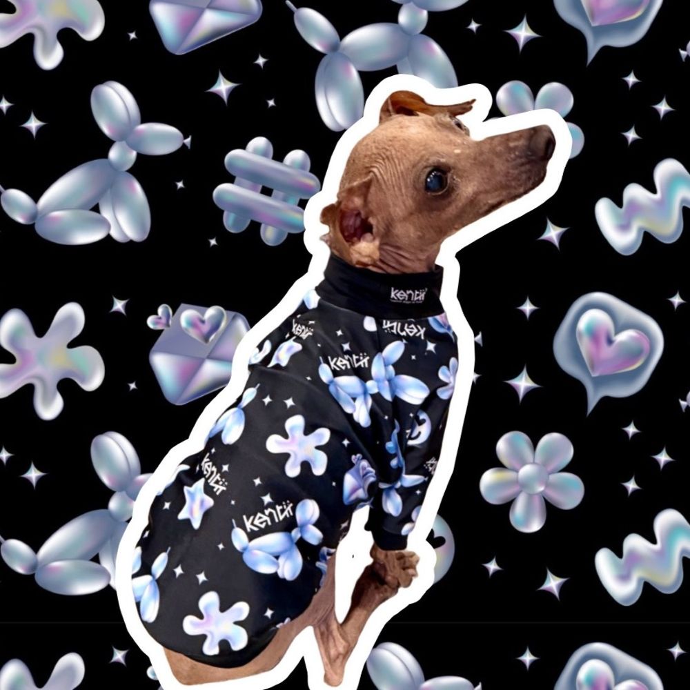 Fluffy Jelly / フラッフィージェリー