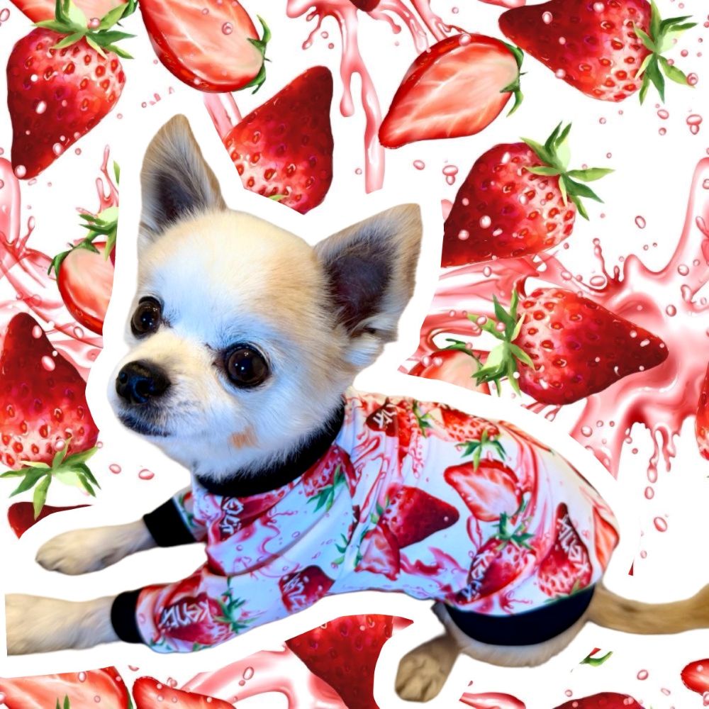 Strawberry Splash / ストロベリースプラッシュ