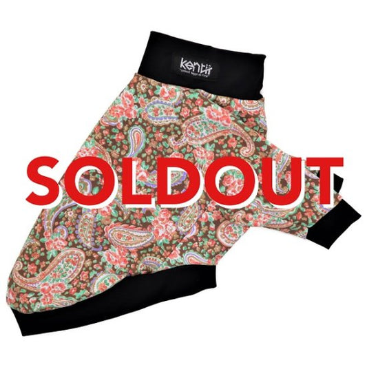 PAISLEY �U/paisley 2